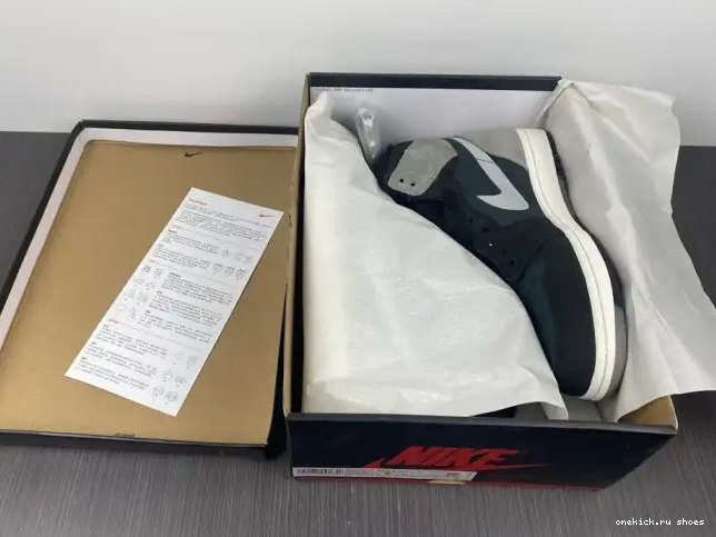 Rep Element Grey 1 Black High Jordan Particle DB2889-001 Gore-Tex Retro 0413